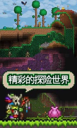 泰拉瑞亚1.3