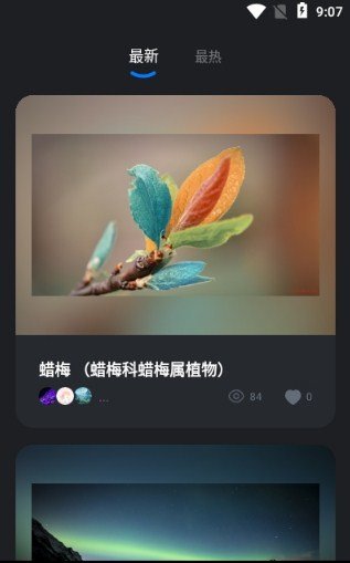 元视觉数字藏品app最新v3.2