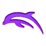 DolphinEmulator安卓汉化版