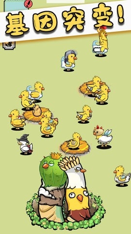 奇怪孵鸭子