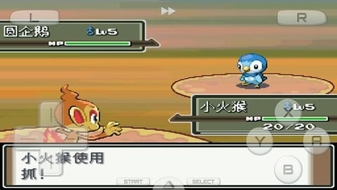 口袋妖怪白金中文版