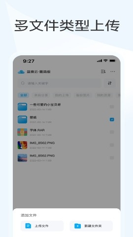 蓝奏云网盘优享版