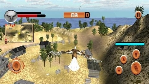 老鹰模拟器(Wild Eagle Sim)