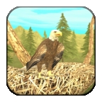 老鹰模拟器(Wild Eagle Sim)