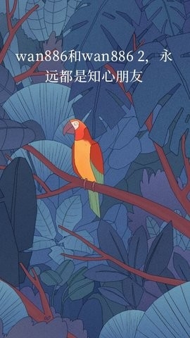 孤独的鸟儿安卓版