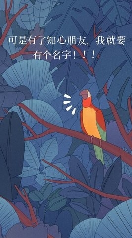 孤独的鸟儿正版