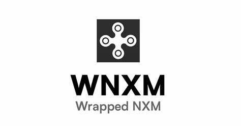 Wrapped NM(WNM)币