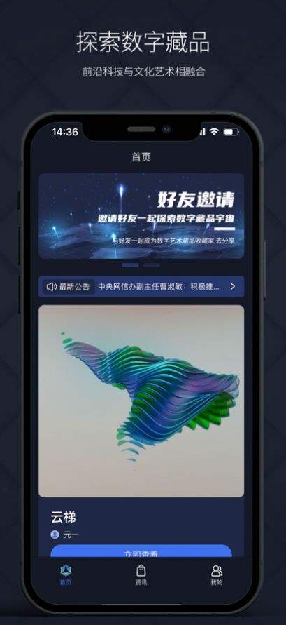 矢量磁场