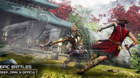 影子猎人的传说(NinjaRyoku)