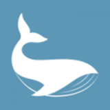 whaleex鲸交所appv2.0