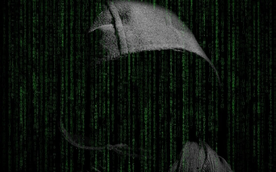 Manta Network在交易所上市后不久遭受DDoS攻击