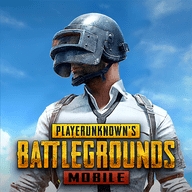 pubgm(国际版)