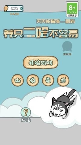 养只二哈不容易