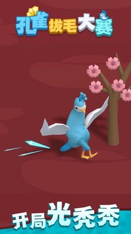 孔雀拔毛大赛免广告