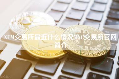 M交易所最近什么情况MC交易所官网简介