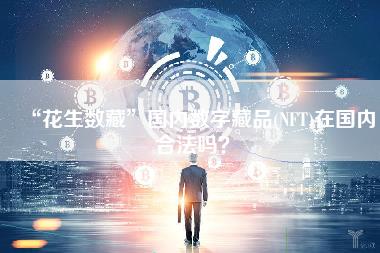 “花生数藏”国内数字藏品 - NFT在国内合法吗？