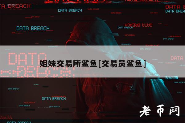 姐妹交易所鲨鱼[交易员鲨鱼]