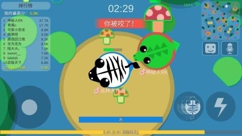 丛林大作战官方正式版