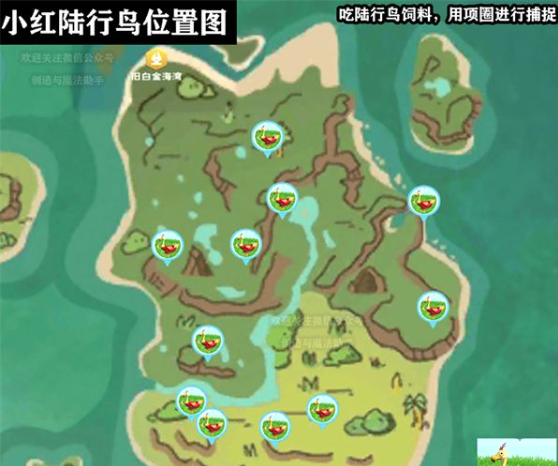 创造与魔法小红陆行鸟在哪？小红陆行鸟位置分布图大全
