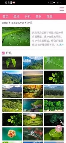 新版跑狗图