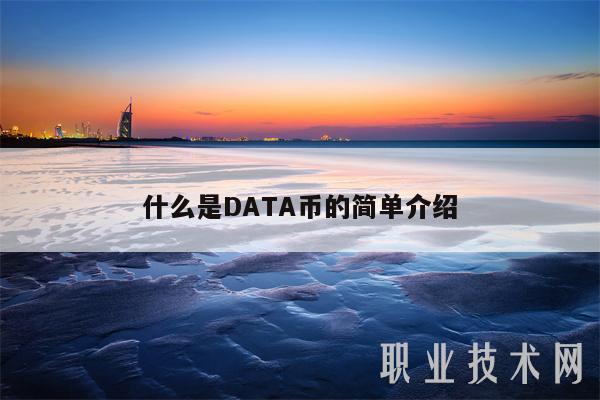 什么是DATA币的简单介绍