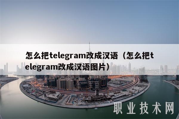 怎么把tlgram改成汉语（怎么把tlgram改成汉语图片