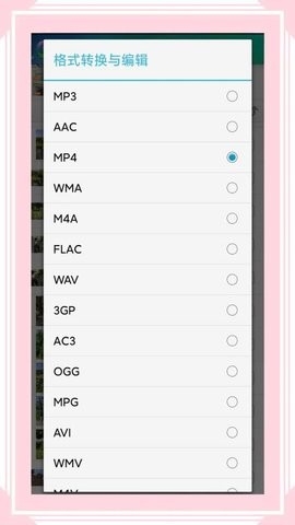 Video Audio Converter(风云格式工厂)