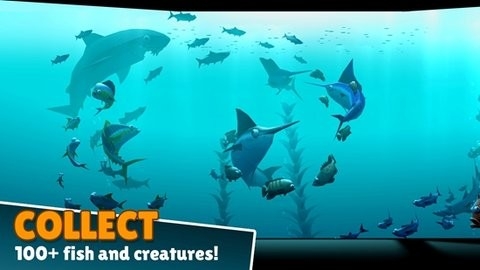 深海生物(Creatures of the Deep)