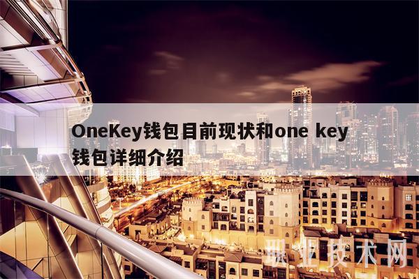 OnKy钱包目前现状和on ky钱包详细介绍