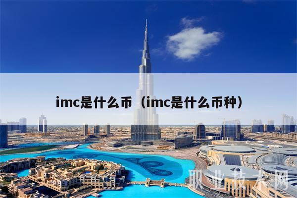 imc是什么币（imc是什么币种