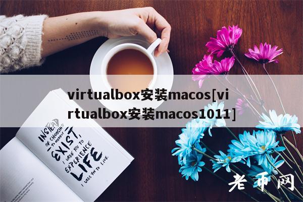 virtualbo安装macos[virtualbo安装macos1011]