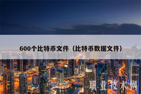600个比特币文件（比特币数据文件