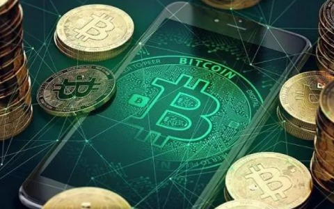 手机版的比特币软件下载（手机版的比特币软件下载不了