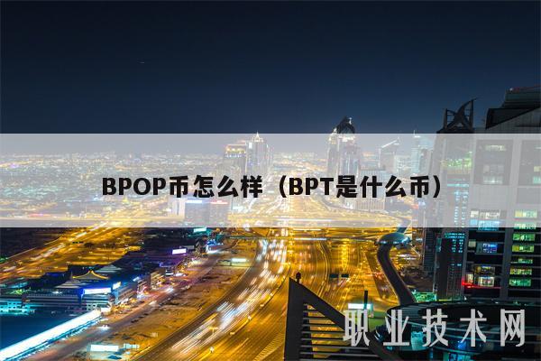 BPOP币怎么样（BPT是什么币