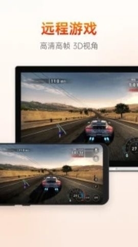 Sunlogin Remote Control