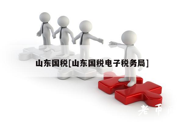 山东国税[山东国税电子税务局]