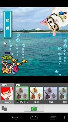Nyalan camera