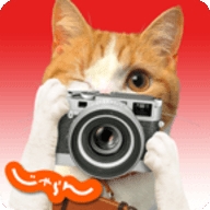 Nyalan camera