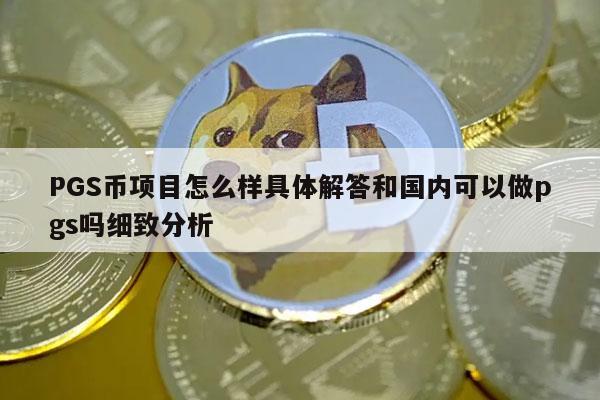 PGS币项目怎么样具体解答和国内可以做pgs吗细致分析