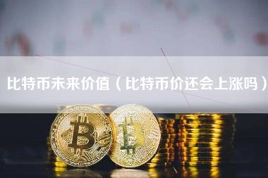 比特币未来价值（比特币价还会上涨吗
