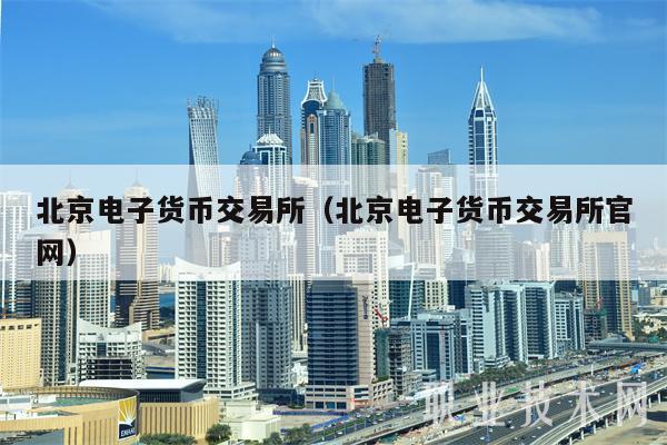 北京电子货币交易所（北京电子货币交易所官网