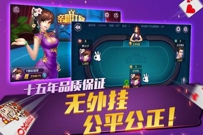 亲朋打旋手游最新版