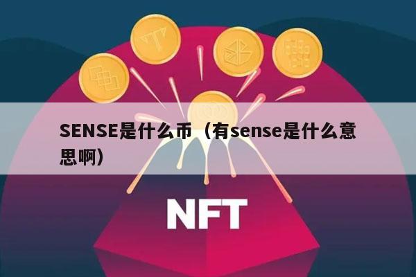 SNS是什么币（有sns是什么意思啊