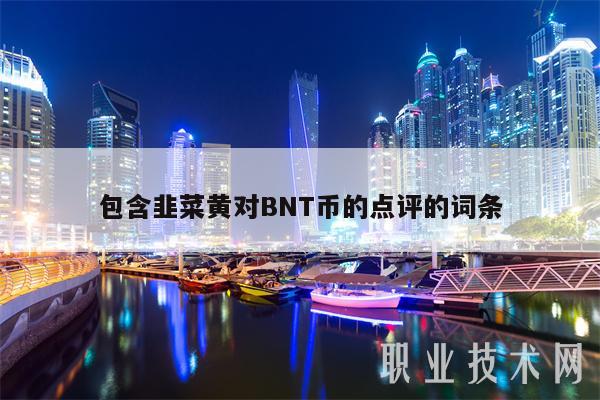 包含韭菜黄对BNT币的点评的词条