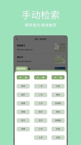 绿图