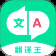 翻译王