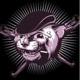 TOPCAT币