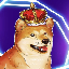 BNBdoge交易所