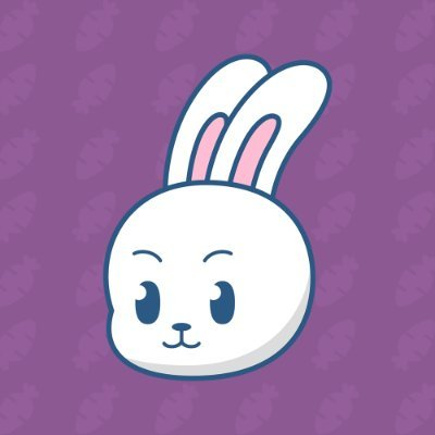 RBUNNY币