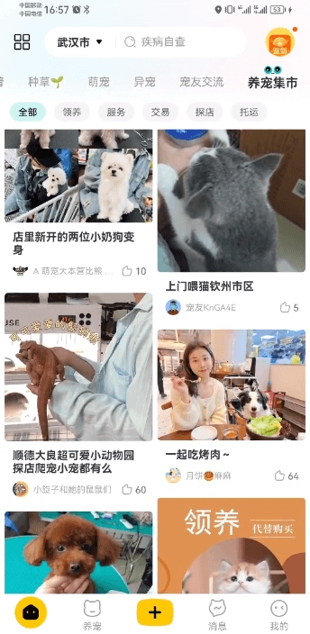 宠胖胖